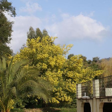 Jardins D'Antalya Bed and Breakfast Grimaud Buitenkant foto